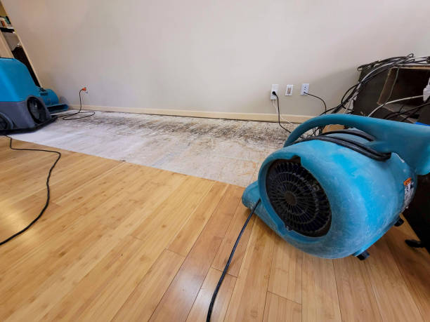 Professional Sewage Cleanup technician working in Muir, PA